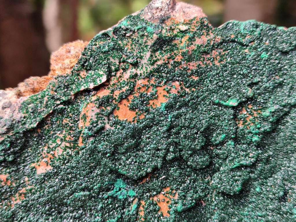 Natural Crystalline Malachite Specimen x 1 From Tenke Fungurume, Congo