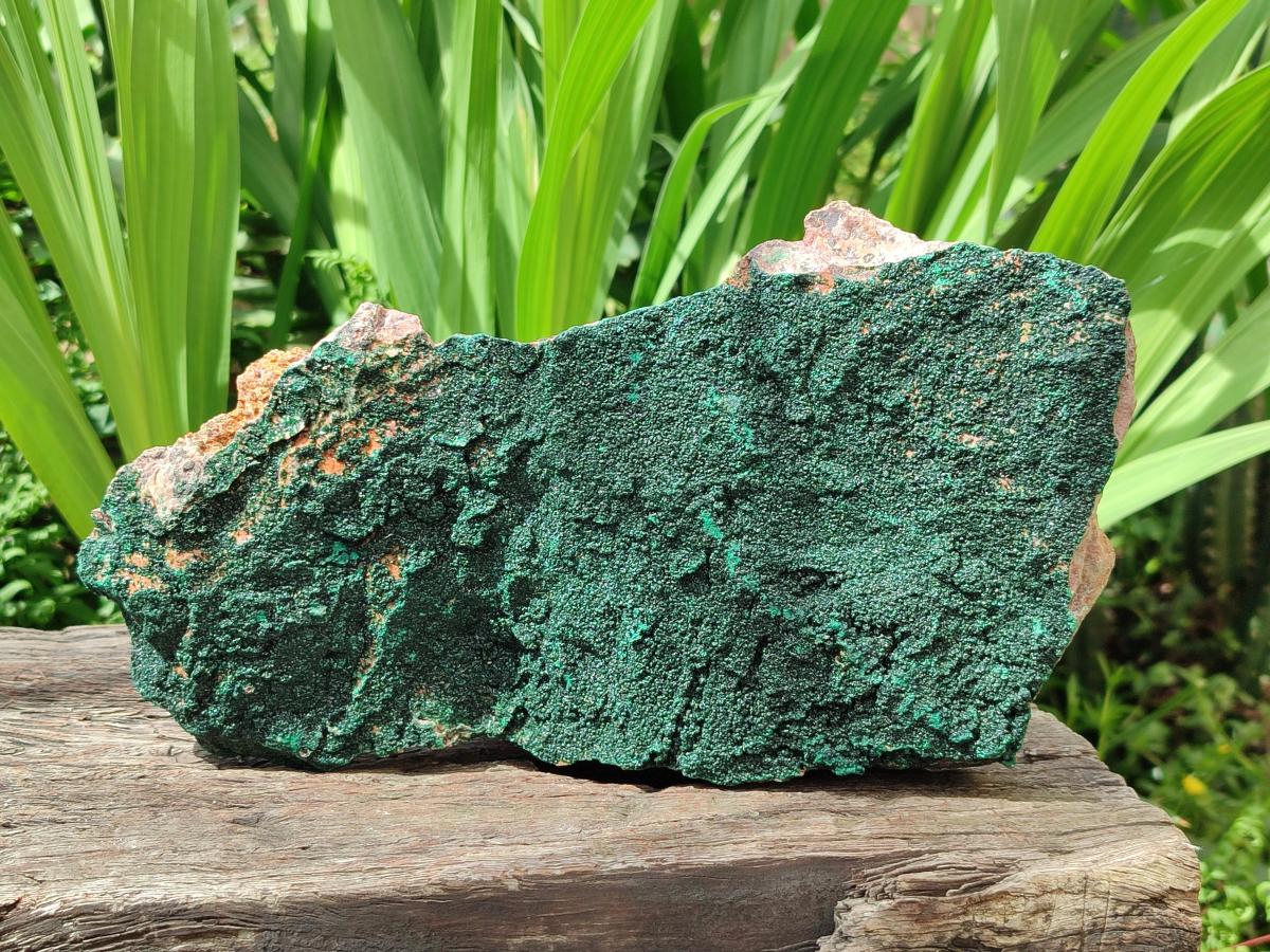 Natural Crystalline Malachite Specimen x 1 From Tenke Fungurume, Congo