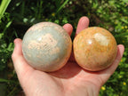 Polished Runestone Feldspar Spheres x 6 From Zimbabwe