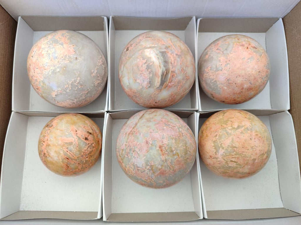 Polished Runestone Feldspar Spheres x 6 From Zimbabwe