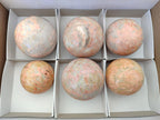 Polished Runestone Feldspar Spheres x 6 From Zimbabwe