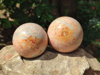 Polished Runestone Feldspar Spheres x 6 From Zimbabwe