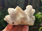 Natural Drusy Quartz Coated Calcite Pseudomorph Specimens x 6 From Albert's Mountain, Lesotho