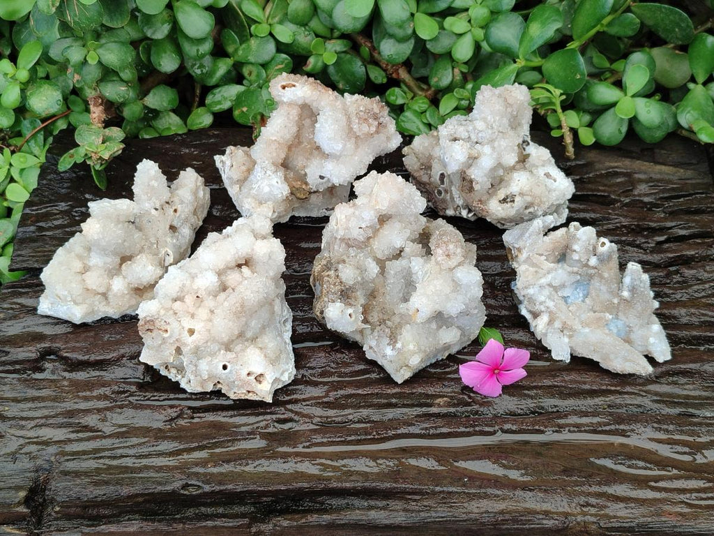Natural Drusy Quartz Coated Calcite Pseudomorph Specimens x 6 From Albert's Mountain, Lesotho