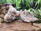Natural Drusy Quartz Coated Calcite Pseudomorph Specimens x 6 From Albert's Mountain, Lesotho