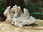 Natural Drusy Quartz Coated Calcite Pseudomorph Specimens x 6 From Albert's Mountain, Lesotho