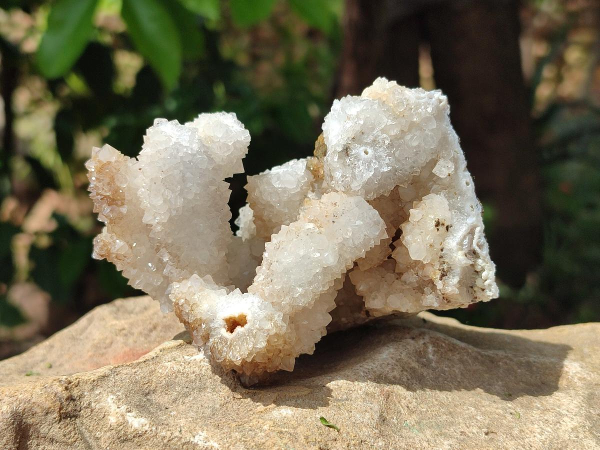 Natural Drusy Quartz Coated Calcite Pseudomorph Specimens x 6 From Albert's Mountain, Lesotho