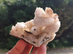 Natural Drusy Quartz Coated Calcite Pseudomorph Specimens x 6 From Albert's Mountain, Lesotho