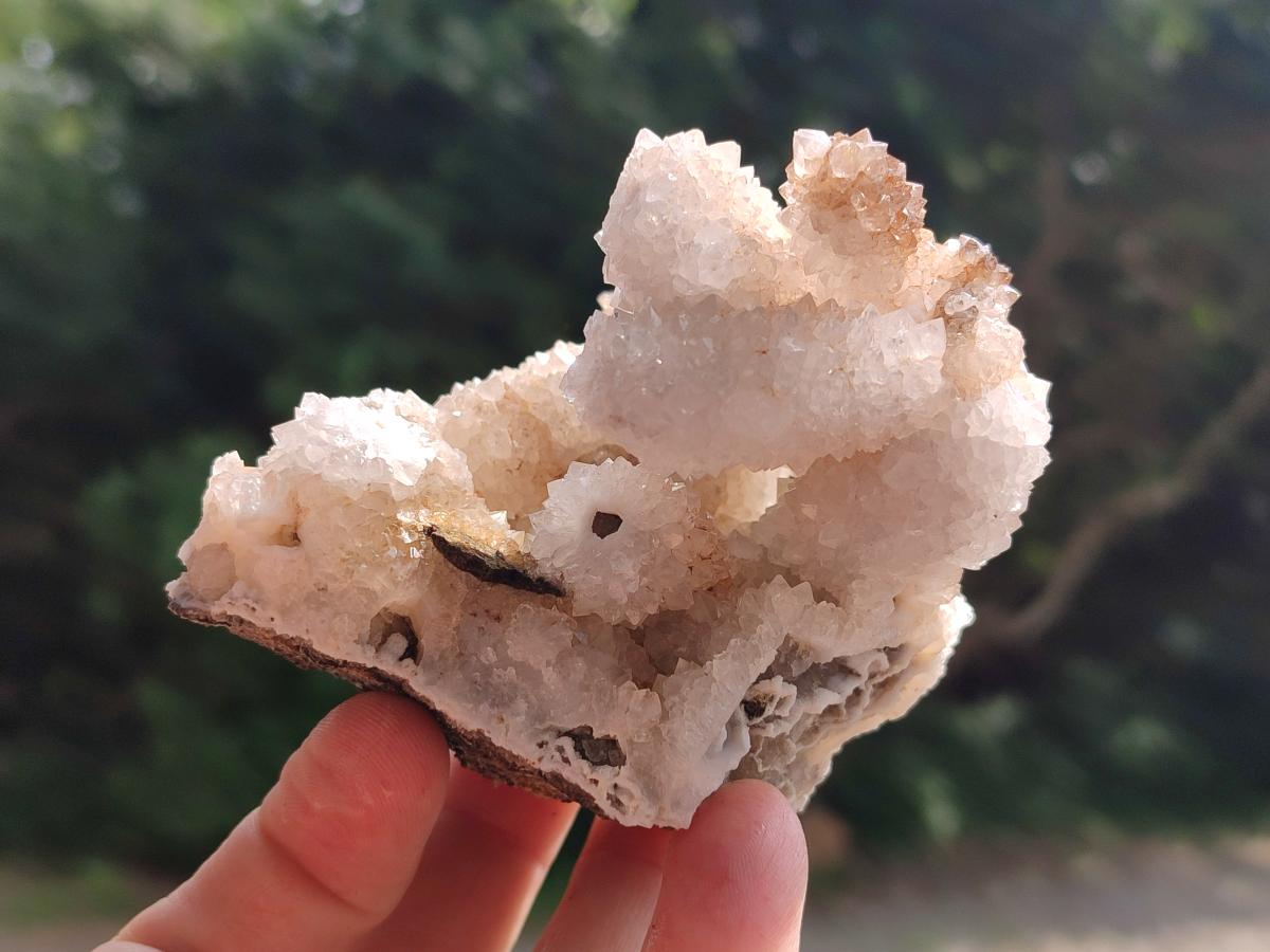Natural Drusy Quartz Coated Calcite Pseudomorph Specimens x 6 From Albert's Mountain, Lesotho