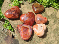 Polished Carnelian Agate Gemstone Hearts x 6 From Madagascar