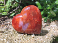Polished Carnelian Agate Gemstone Hearts x 6 From Madagascar