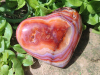 Polished Carnelian Agate Gemstone Hearts x 6 From Madagascar