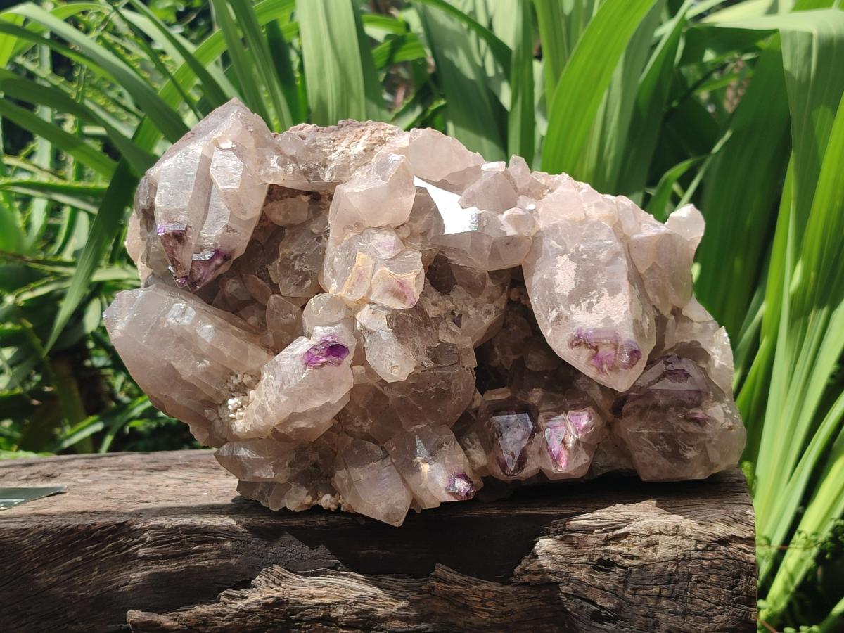 Natural Rare XXL Amethyst Sceptre Tipped Brandberg Cluster x 1 From Brandberg, Namibia