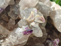 Natural Rare XXL Amethyst Sceptre Tipped Brandberg Cluster x 1 From Brandberg, Namibia