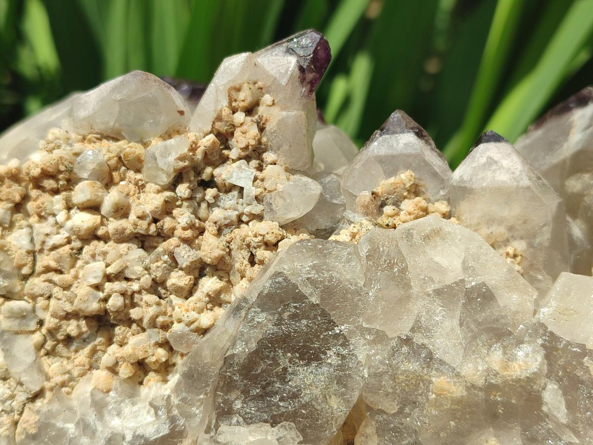 Natural Rare XXL Amethyst Sceptre Tipped Brandberg Cluster x 1 From Brandberg, Namibia