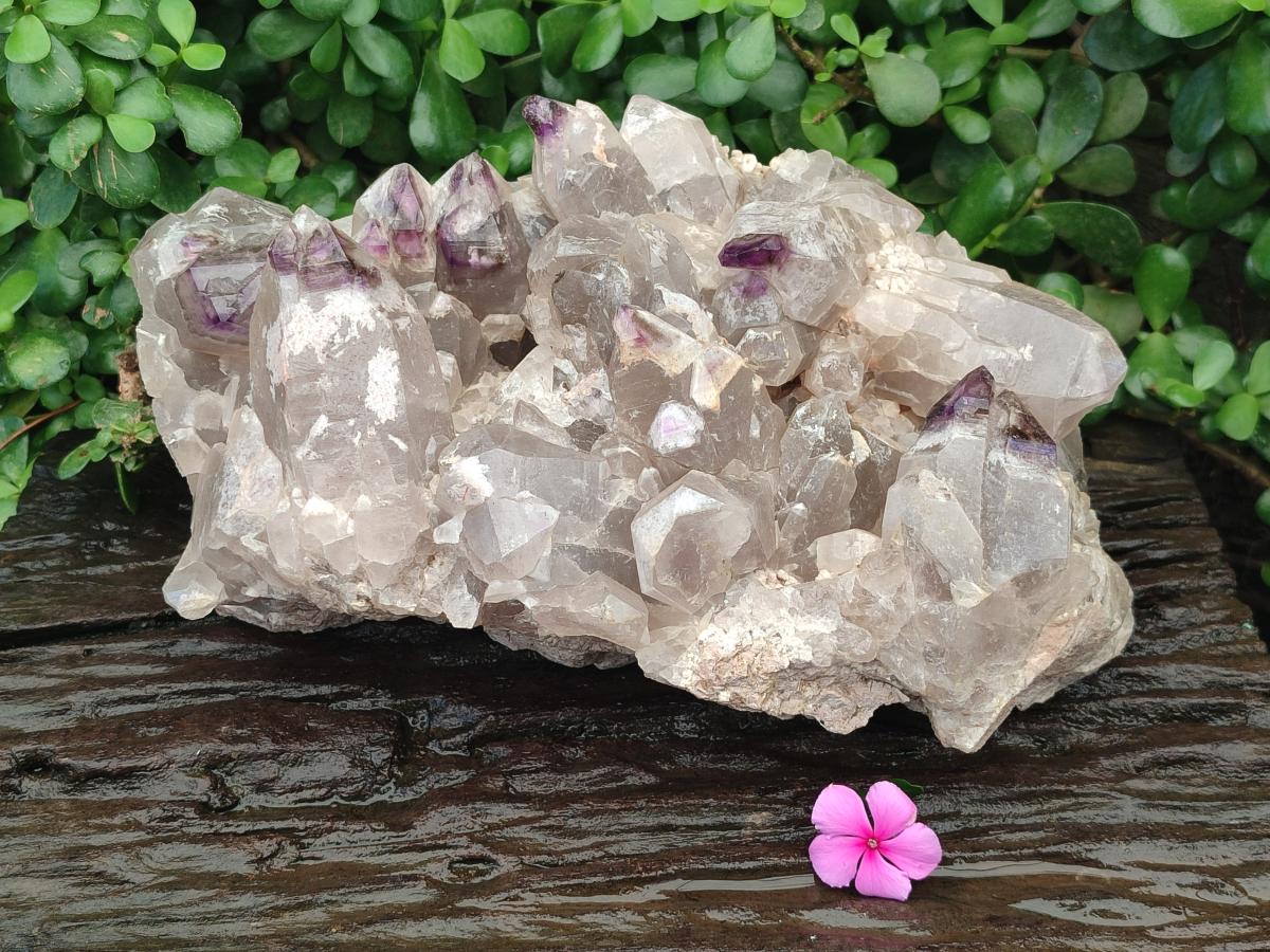 Natural Rare XXL Amethyst Sceptre Tipped Brandberg Cluster x 1 From Brandberg, Namibia