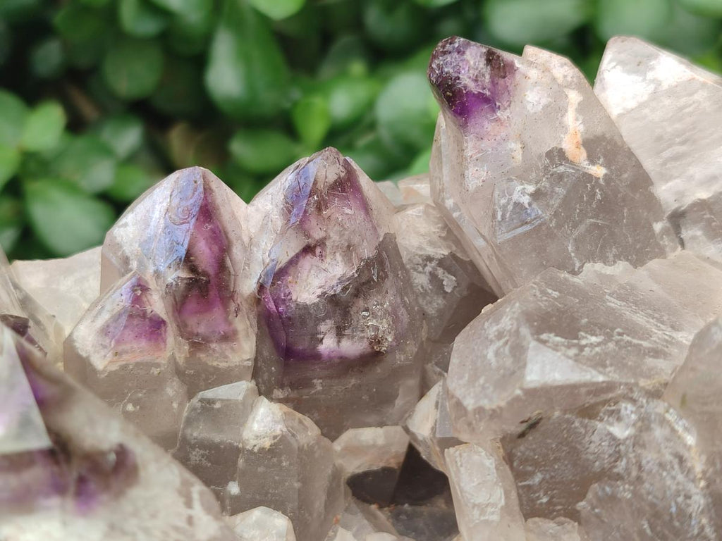 Natural Rare XXL Amethyst Sceptre Tipped Brandberg Cluster x 1 From Brandberg, Namibia
