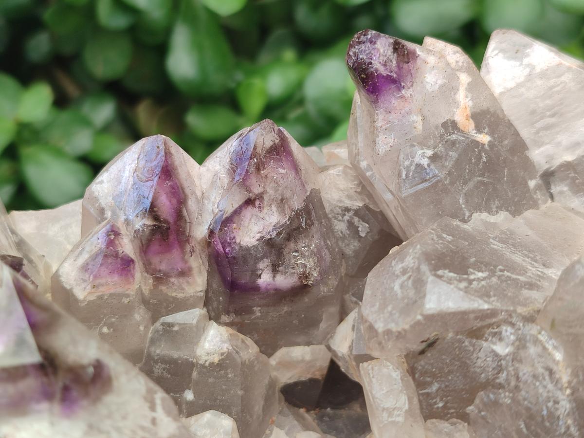 Natural Rare XXL Amethyst Sceptre Tipped Brandberg Cluster x 1 From Brandberg, Namibia