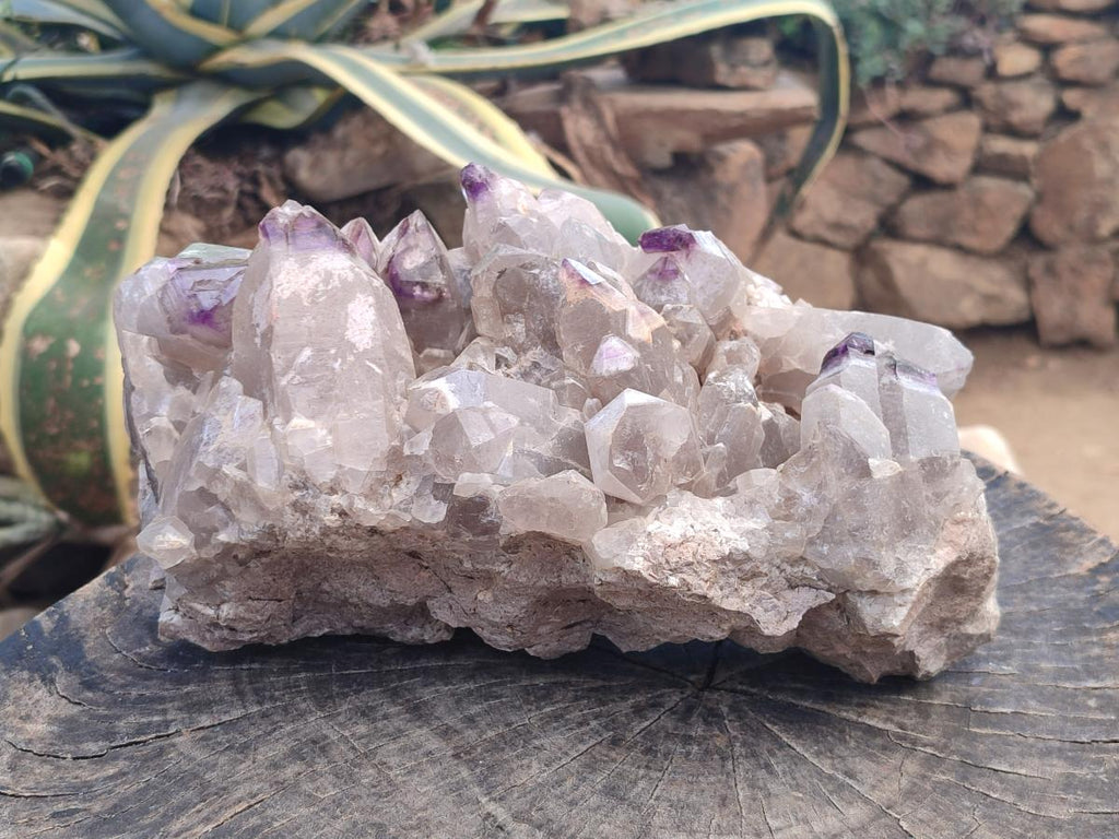 Natural Rare XXL Amethyst Sceptre Tipped Brandberg Cluster x 1 From Brandberg, Namibia