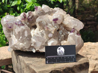 Natural Rare XXL Amethyst Sceptre Tipped Brandberg Cluster x 1 From Brandberg, Namibia
