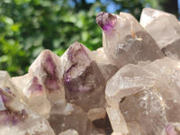 Natural Rare XXL Amethyst Sceptre Tipped Brandberg Cluster x 1 From Brandberg, Namibia