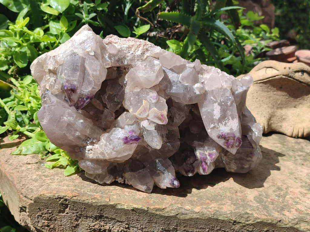 Natural Rare XXL Amethyst Sceptre Tipped Brandberg Cluster x 1 From Brandberg, Namibia