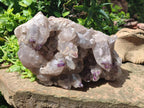 Natural Rare XXL Amethyst Sceptre Tipped Brandberg Cluster x 1 From Brandberg, Namibia