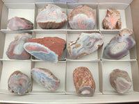 Polished On One Side Pink Shashe River Agate Nodules x 12 From Shashe River, Zimbabwe