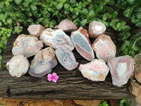 Polished On One Side Pink Shashe River Agate Nodules x 12 From Shashe River, Zimbabwe