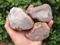 Polished On One Side Pink Shashe River Agate Nodules x 12 From Shashe River, Zimbabwe