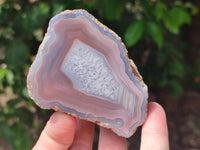 Polished On One Side Pink Shashe River Agate Nodules x 12 From Shashe River, Zimbabwe