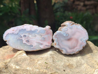 Polished On One Side Pink Shashe River Agate Nodules x 12 From Shashe River, Zimbabwe