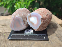 Polished On One Side Pink Shashe River Agate Nodules x 12 From Shashe River, Zimbabwe