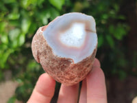 Polished On One Side Pink Shashe River Agate Nodules x 12 From Shashe River, Zimbabwe