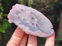 Polished On One Side Pink Shashe River Agate Nodules x 12 From Shashe River, Zimbabwe