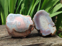 Polished On One Side Pink Shashe River Agate Nodules x 12 From Shashe River, Zimbabwe
