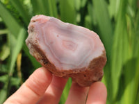 Polished On One Side Pink Shashe River Agate Nodules x 12 From Shashe River, Zimbabwe