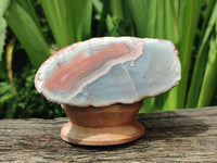 Polished On One Side Pink Shashe River Agate Nodules x 12 From Shashe River, Zimbabwe