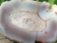 Polished On One Side Pink Shashe River Agate Nodules x 12 From Shashe River, Zimbabwe