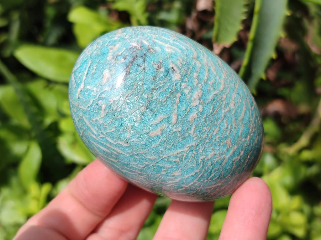 Polished Amazonite Free Forms x 8 From Madagascar