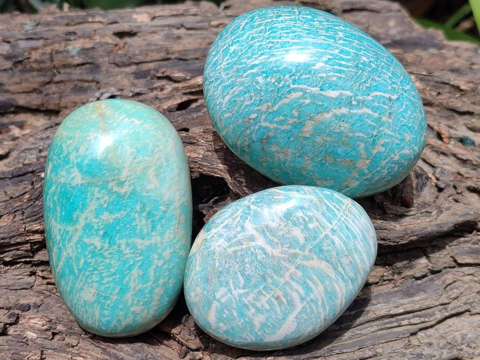 Polished Amazonite Free Forms x 8 From Madagascar