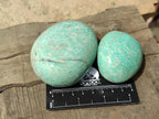 Polished Amazonite Free Forms x 8 From Madagascar