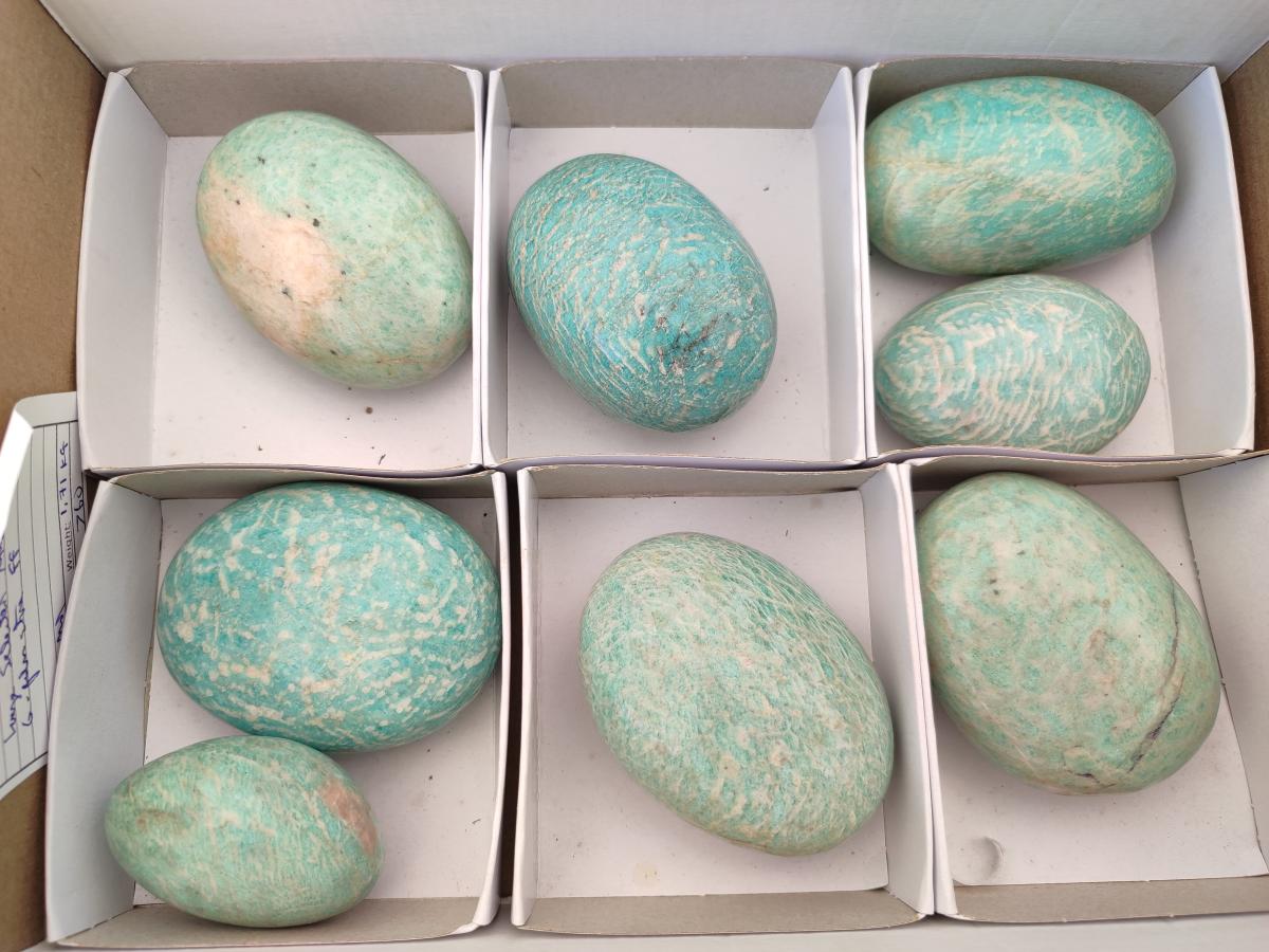 Polished Amazonite Free Forms x 8 From Madagascar