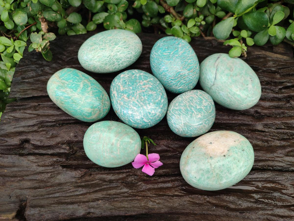 Polished Amazonite Free Forms x 8 From Madagascar