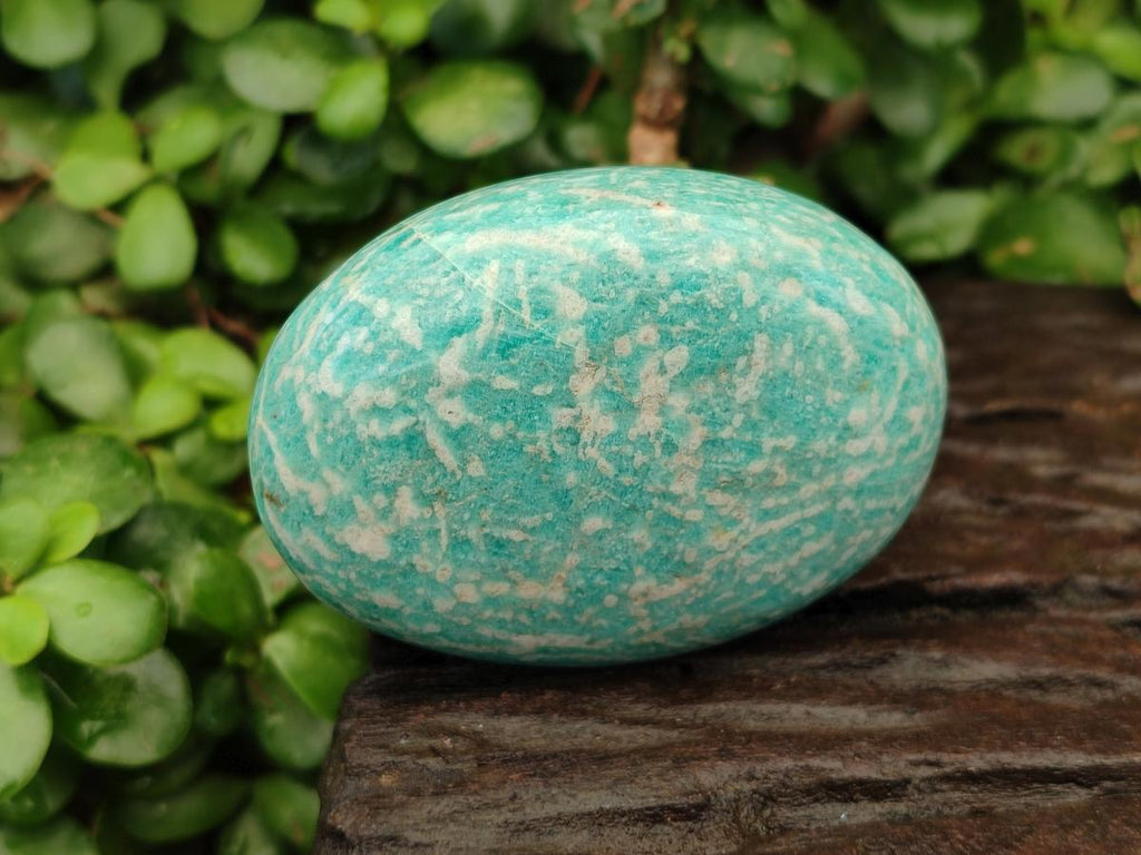 Polished Amazonite Free Forms x 8 From Madagascar