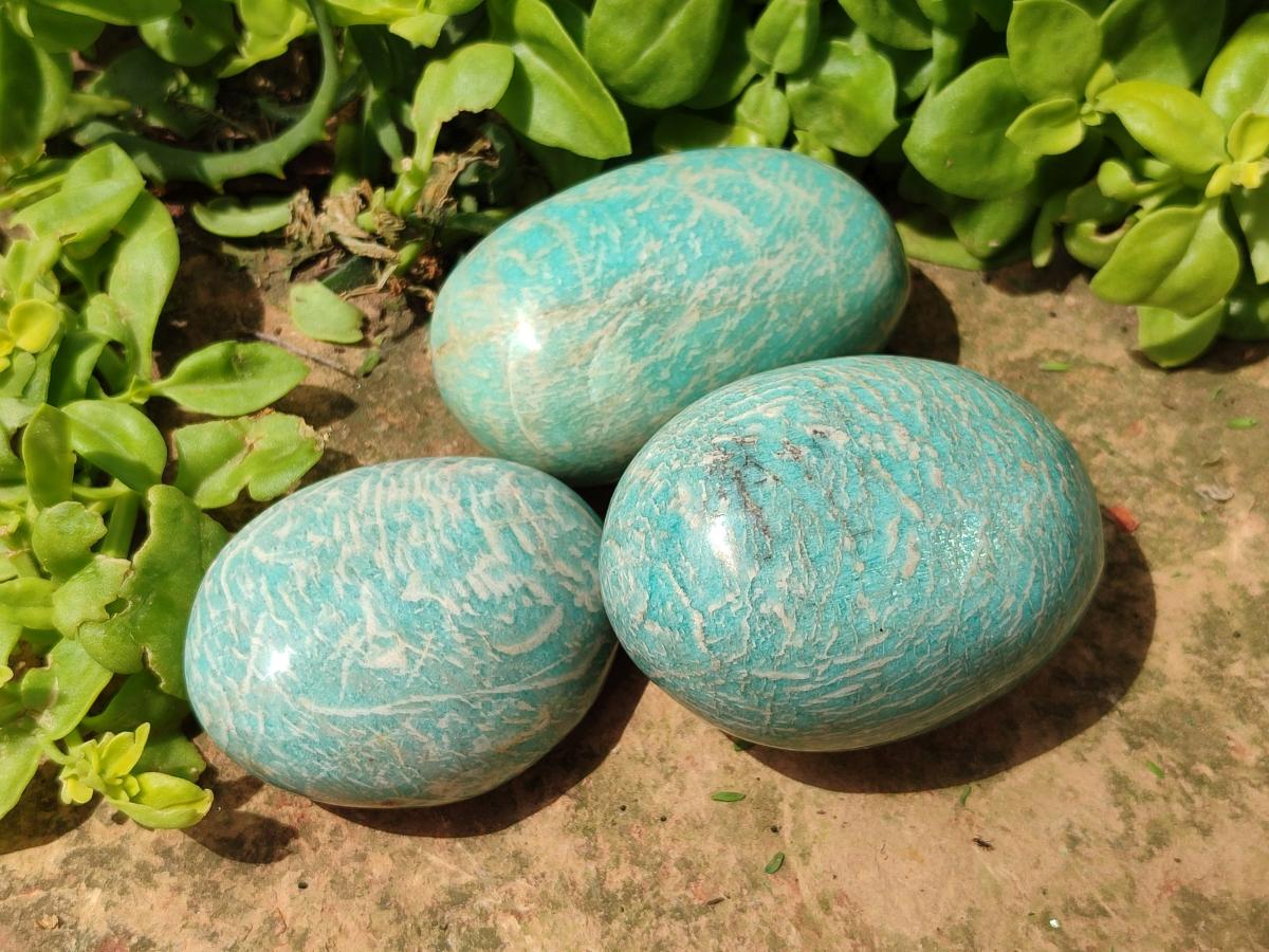 Polished Amazonite Free Forms x 8 From Madagascar