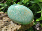 Polished Amazonite Free Forms x 8 From Madagascar