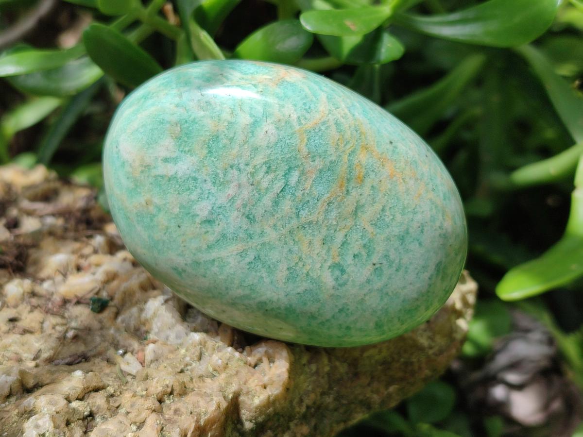 Polished Amazonite Free Forms x 8 From Madagascar