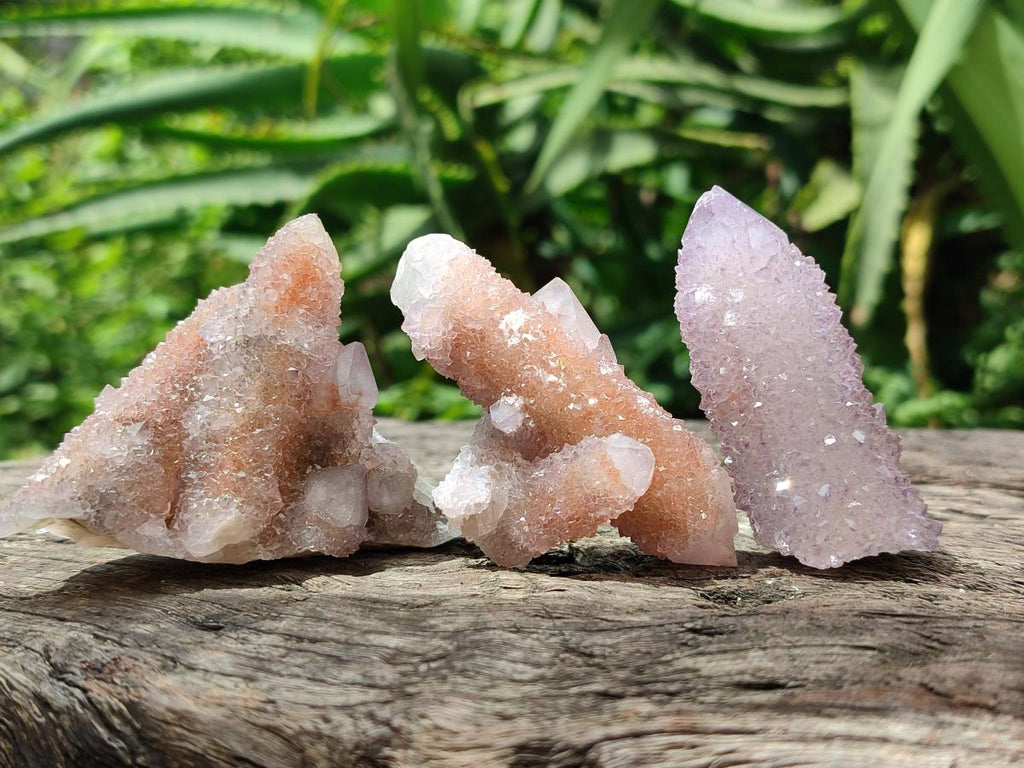 Natural Amethyst and Ametrine Spirit Clusters x 12 From Boekenhouthoek, South Africa