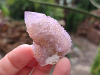 Natural Amethyst and Ametrine Spirit Clusters x 12 From Boekenhouthoek, South Africa